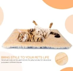 Nobleza Fluffy Benchkussen - Dierenkussen - Hondenkussen - Kattenkussen - Benchmat - Dierenmat - Hondenmat - Kattenmat - Crème - Maat L -Huisdierbenodigdheden Korting 1200x1156 14