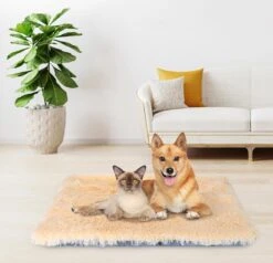 Nobleza Fluffy Benchkussen - Dierenkussen - Hondenkussen - Kattenkussen - Benchmat - Dierenmat - Hondenmat - Kattenmat - Crème - Maat L -Huisdierbenodigdheden Korting 1200x1156 15