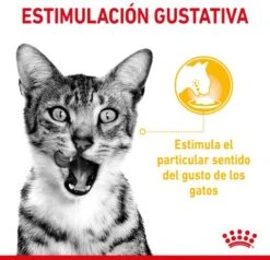 Royal Canin Sensory Multipack Mix - In Gravy - Kattenvoer - 12x85 G 10 Royal Canin Sensory Multipack Mix - In Gravy - Kattenvoer - 12x85 G -Huisdierbenodigdheden Korting 1200x1157 17