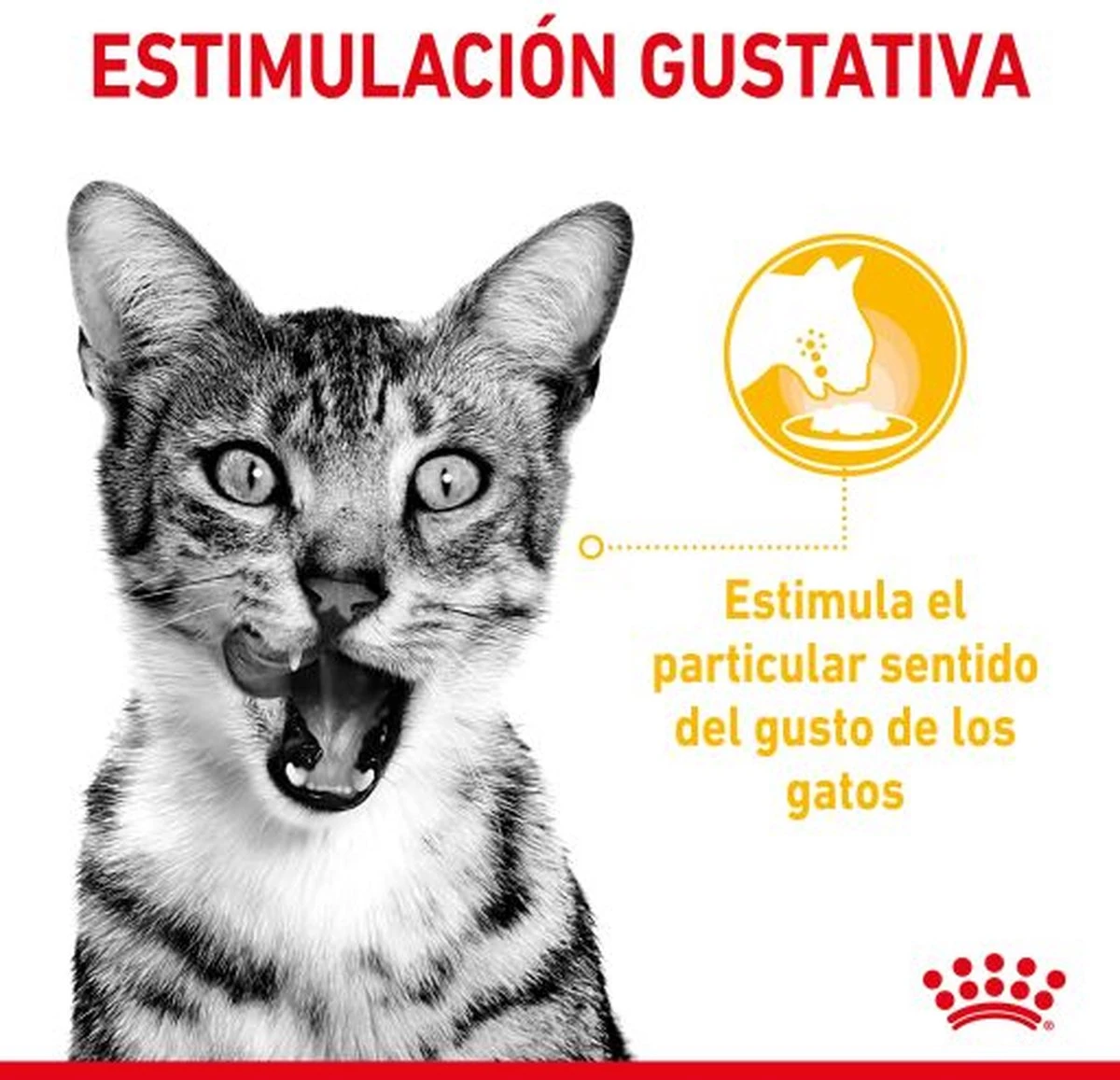 Royal Canin Sensory Multipack Mix - In Gravy - Kattenvoer - 12x85 G 6 Royal Canin Sensory Multipack Mix - In Gravy - Kattenvoer - 12x85 G - Image 4