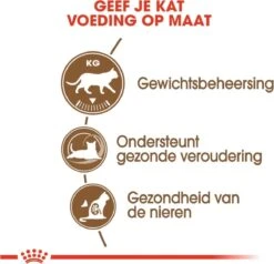 Royal Canin Ageing Sterilised 12+ - Kattenvoer - 2 Kg -Huisdierbenodigdheden Korting 1200x1157 18