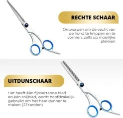 BeautyFit - 16-delig Hondentondeuse Set - Professionele Honden Trimset - Dieren Tondeuse Voor Dikke Vacht - Meest Complete Set - Inclusief 4 Opzetkammen - Hondenschaar - Mist Verstuiver - Handschoen Borstel - Nagelknipper -Huisdierbenodigdheden Korting 1200x1157 3