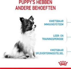 Royal Canin X-Small Puppy - Hondenvoer - 1.5 Kg -Huisdierbenodigdheden Korting 1200x1159 16