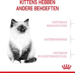 Royal Canin Kitten - Kittenvoer - 4 Kg -Huisdierbenodigdheden Korting 1200x1159 28