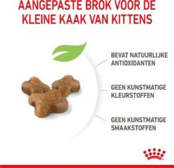 Royal Canin Kitten - Kittenvoer - 2 Kg -Huisdierbenodigdheden Korting 1200x1159 36