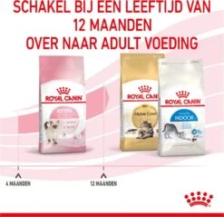 Royal Canin Kitten - Kittenvoer - 2 Kg -Huisdierbenodigdheden Korting 1200x1159 37