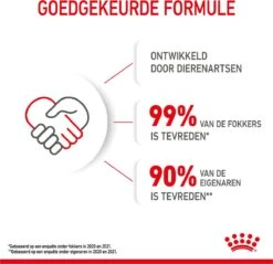 Royal Canin Kitten - Kittenvoer - 2 Kg -Huisdierbenodigdheden Korting 1200x1159 40