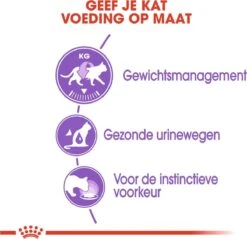 Royal Canin Feline Sterilised In Gravy (12X85 GR) -Huisdierbenodigdheden Korting 1200x1159 43