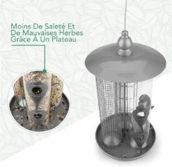 WILDLIFE FRIEND I Deluxe 3-in-1 Bird Feeder | 19cm X 19cm X 36cm | Silver Metal - Tit Dumpling Holder, Seed Feeder & Peanut Feeder, Bird Feeder Voor Kleinere Wilde Vogels. -Huisdierbenodigdheden Korting 1200x1159 52