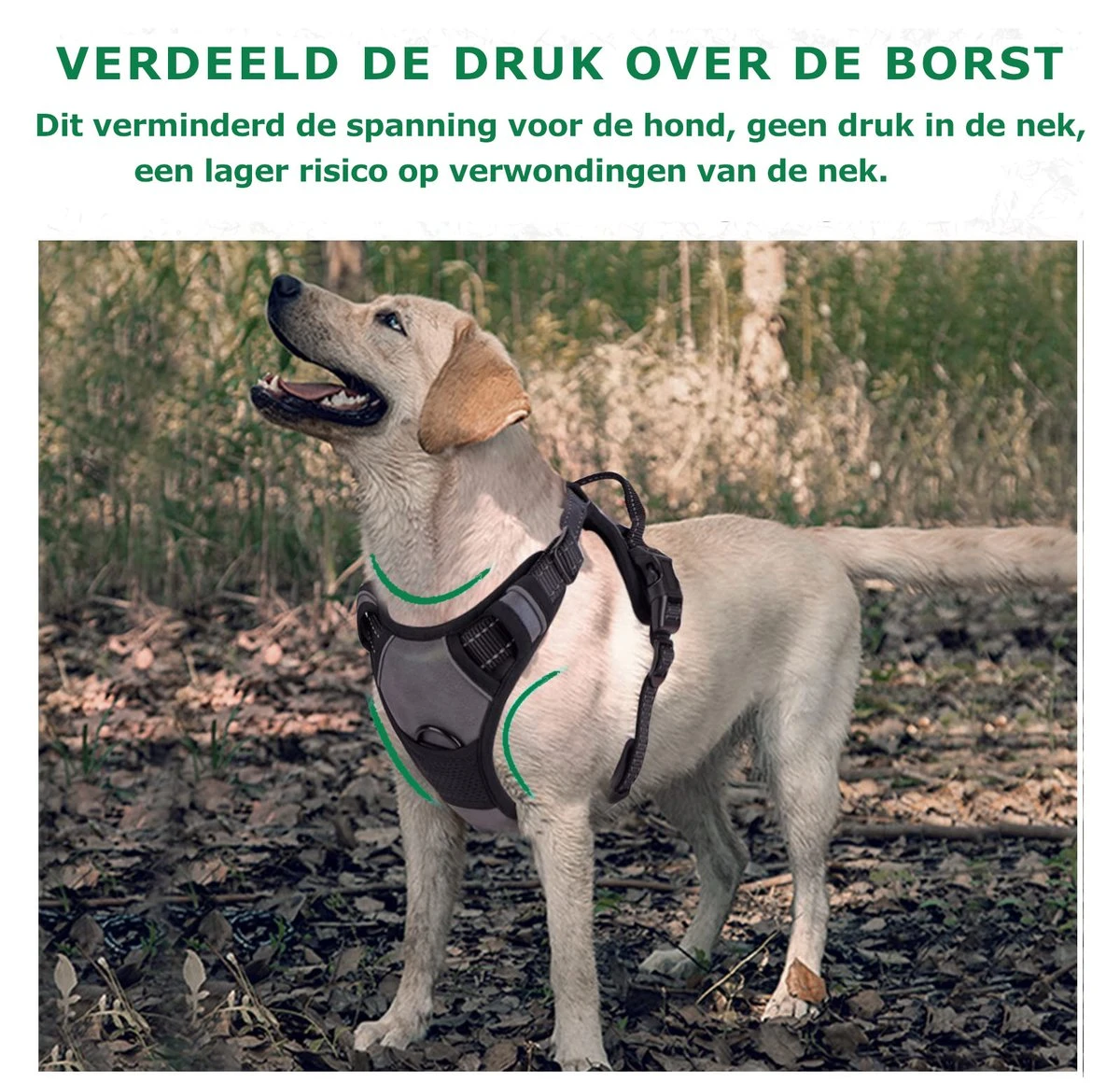 Mister Mill Hondentuigje 2x Klikgesp Maat L Grijs - Anti-Trek Tuig Hondenharnas - Y Tuig Hond Reflecterend 8 Mister Mill Hondentuigje 2x Klikgesp Maat L Grijs - Anti-Trek Tuig Hondenharnas - Y Tuig Hond Reflecterend - Image 6