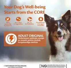 Wellness Core Grain Free Dog Original Kalkoen & Kip - Hondenvoer - 10 Kg -Huisdierbenodigdheden Korting 1200x1160 20