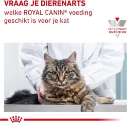 Royal Canin Gastro Intestinal Hairball - Kattenvoer Ter Ondersteuning Bij Haarballen 4 Kg 17 Royal Canin Gastro Intestinal Hairball - Kattenvoer Ter Ondersteuning Bij Haarballen 4 Kg -Huisdierbenodigdheden Korting 1200x1160 27