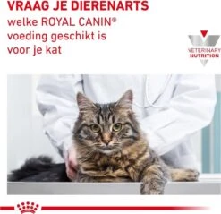Royal Canin Gastro Intestinal - Kattenvoer - 4 Kg 22 Royal Canin Gastro Intestinal - Kattenvoer - 4 Kg -Huisdierbenodigdheden Korting 1200x1160 28