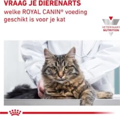 Royal Canin Renal - Kattenvoer - 4 Kg -Huisdierbenodigdheden Korting 1200x1161 30