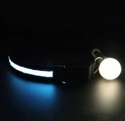 Honden Halsband Led Verlichting – Reflecterende Hals Band - Reflective Dog Collar Led Lights -Huisdierbenodigdheden Korting 1200x1162 15