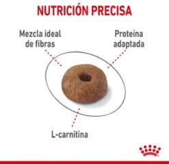 Royal Canin Light Weight Care - 1.5 Kg -Huisdierbenodigdheden Korting 1200x1162 18