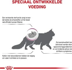 Royal Canin Renal - Kattenvoer - 4 Kg -Huisdierbenodigdheden Korting 1200x1162 21