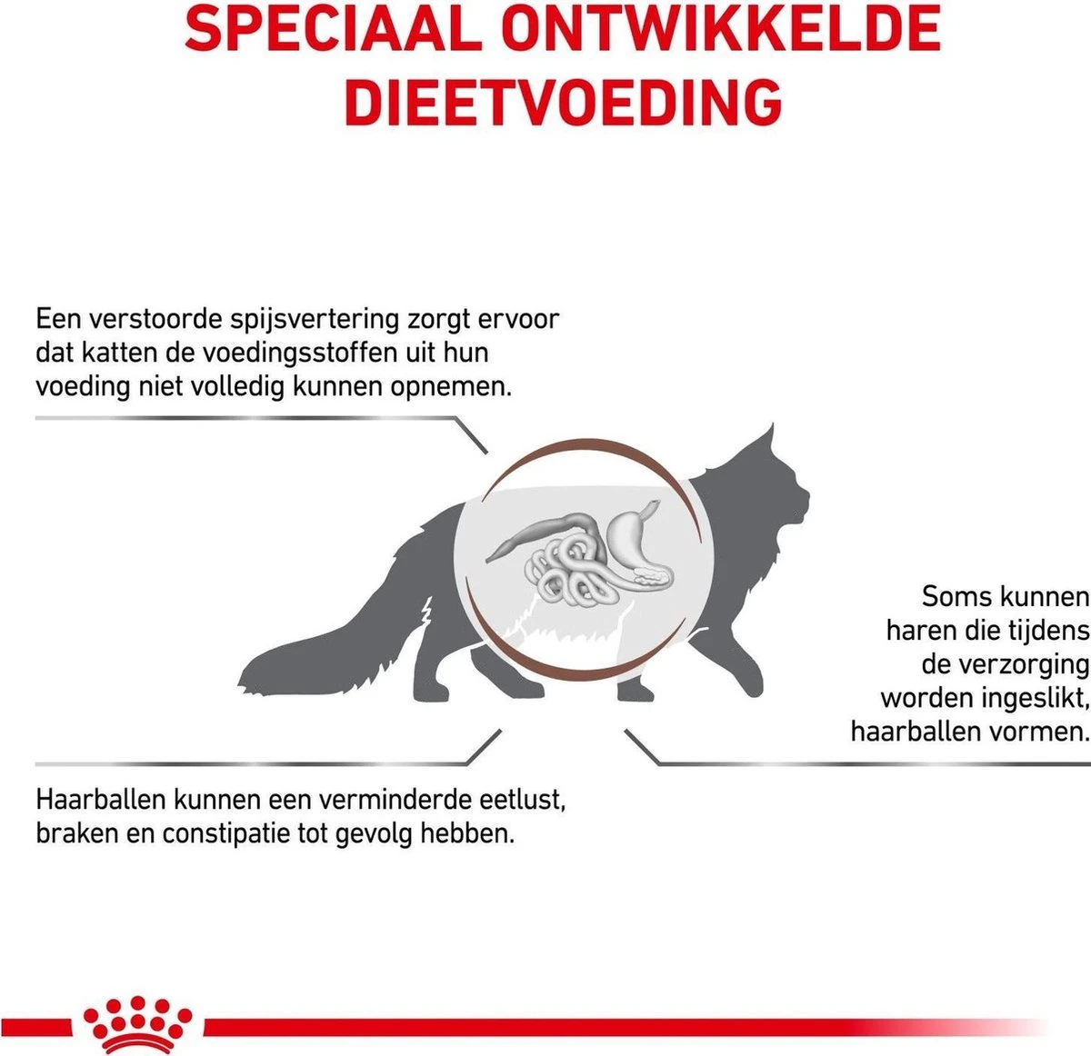 Royal Canin Gastro Intestinal Hairball - Kattenvoer Ter Ondersteuning Bij Haarballen 4 Kg 6 Royal Canin Gastro Intestinal Hairball - Kattenvoer Ter Ondersteuning Bij Haarballen 4 Kg - Image 4