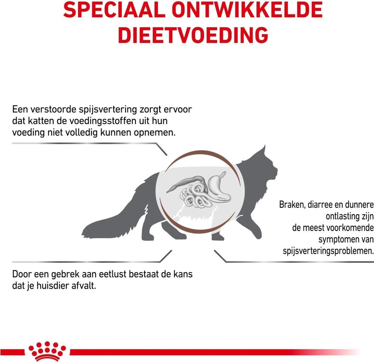 Royal Canin Gastro Intestinal - Kattenvoer - 4 Kg 6 Royal Canin Gastro Intestinal - Kattenvoer - 4 Kg - Image 4