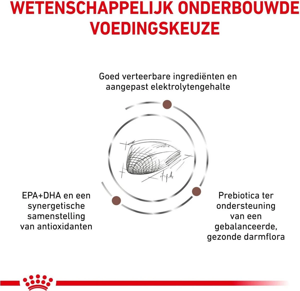 Royal Canin Gastro Intestinal - Kattenvoer - 4 Kg 7 Royal Canin Gastro Intestinal - Kattenvoer - 4 Kg - Image 5