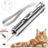 Laserpen - USB - Kattenspeeltjes - Zaklamp - Kat - Laser - Kattenspeelgoed - RVS Opbergblikje -Huisdierbenodigdheden Korting 1200x1162 27