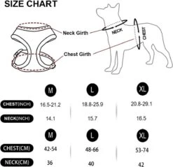 *** Katy`s Kattentuigje Zwart Maat M Met Looplijn - Kleine Hond - Kattenharnas - Honden Harnas - Kattenriem - Uitlaten - Van Heble® *** 10 *** Katy`s Kattentuigje Zwart Maat M Met Looplijn - Kleine Hond - Kattenharnas - Honden Harnas - Kattenriem - Uitlaten - Van Heble® *** -Huisdierbenodigdheden Korting 1200x1162 29