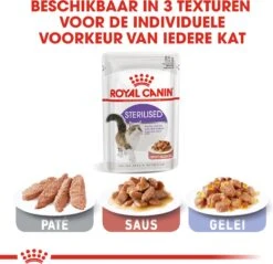 Royal Canin Feline Sterilised In Gravy (12X85 GR) -Huisdierbenodigdheden Korting 1200x1163 18