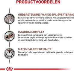 Royal Canin Gastro Intestinal Hairball - Kattenvoer Ter Ondersteuning Bij Haarballen 4 Kg 14 Royal Canin Gastro Intestinal Hairball - Kattenvoer Ter Ondersteuning Bij Haarballen 4 Kg -Huisdierbenodigdheden Korting 1200x1163 21