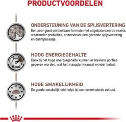 Royal Canin Gastro Intestinal - Kattenvoer - 4 Kg 17 Royal Canin Gastro Intestinal - Kattenvoer - 4 Kg -Huisdierbenodigdheden Korting 1200x1163 23