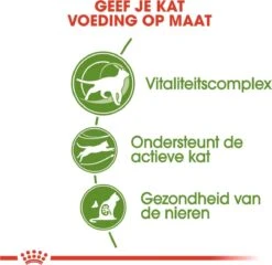 Royal Canin Outdoor 7+ - 4 Kg 18 Royal Canin Outdoor 7+ - 4 Kg -Huisdierbenodigdheden Korting 1200x1164 13
