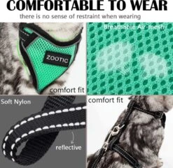 Kattentuigje Met Leiband Riem Kattenharnas Groen Maat L Kat & Kitten - Dieren Kattenriem - Cat Leash - Halsomvang 24 Tot 33cm - Borstomvang 36 Tot 41cm - Zootic® 17 Kattentuigje Met Leiband Riem Kattenharnas Groen Maat L Kat & Kitten - Dieren Kattenriem - Cat Leash - Halsomvang 24 Tot 33cm - Borstomvang 36 Tot 41cm - Zootic® -Huisdierbenodigdheden Korting 1200x1164 21