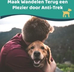 Mmoods Hondentuigje Grijs - Anti-Trek Tuig - Hondenharnas Voor Extra Grote Honden - Reflecterende Halsband Hond - Hondenhalsband Maat XL -Huisdierbenodigdheden Korting 1200x1166 13
