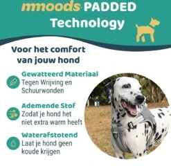 Mmoods Hondentuigje Grijs - Anti-Trek Tuig - Hondenharnas Voor Grote Honden- Reflecterende Halsband Hond - Hondenhalsband Maat L -Huisdierbenodigdheden Korting 1200x1166 14