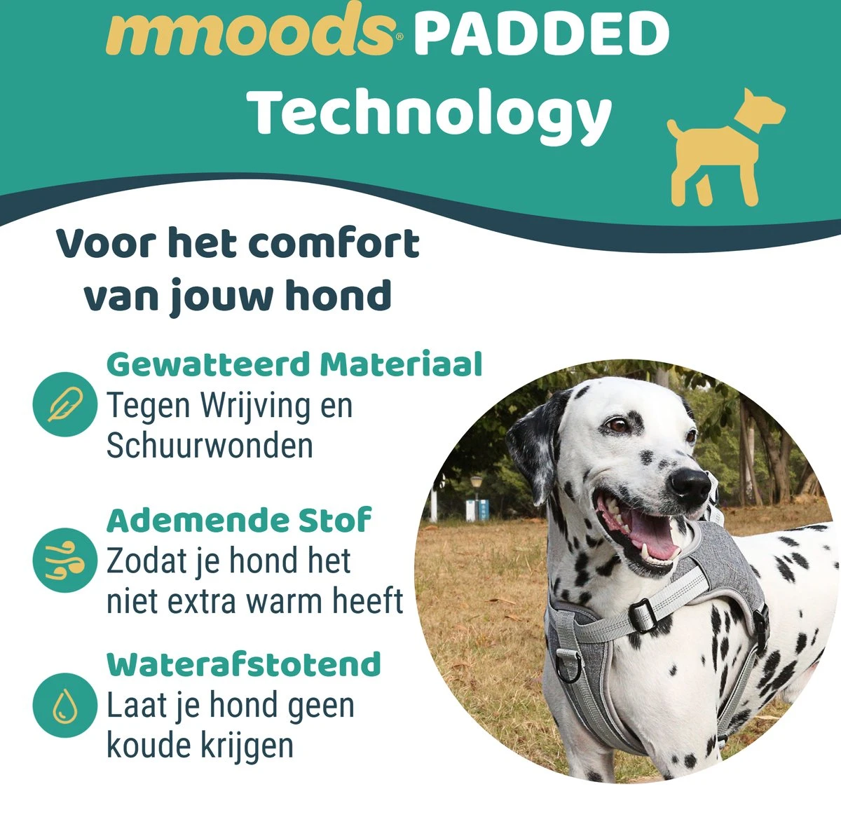 Mmoods Hondentuigje Grijs - Anti-Trek Tuig Voor Puppy's - Hondenharnas Voor Kleine Honden - Reflecterende Halsband Hond - Hondenhalsband Maat S 4 Mmoods Hondentuigje Grijs - Anti-Trek Tuig Voor Puppy's - Hondenharnas Voor Kleine Honden - Reflecterende Halsband Hond - Hondenhalsband Maat S - Image 2