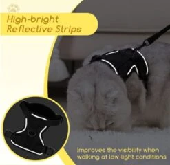 Nobleza Kattenharnas M Reflecterend Zwart Met Riem -Huisdierbenodigdheden Korting 1200x1166 31