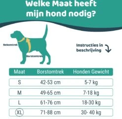 Mmoods Hondentuigje Grijs - Anti-Trek Tuig - Hondenharnas Voor Extra Grote Honden - Reflecterende Halsband Hond - Hondenhalsband Maat XL -Huisdierbenodigdheden Korting 1200x1167 11