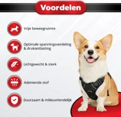 Purrr Fect Hondentuigje - Anti-Trek Tuig - Hondenharnas - Y Tuig Hond - Waterproof - Reflecterend - Verstelbaar - Maat L -Huisdierbenodigdheden Korting 1200x1167 16