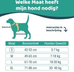 Mmoods Hondentuigje Grijs - Anti-Trek Tuig Voor Puppy's - Hondenharnas Voor Kleine Honden - Reflecterende Halsband Hond - Hondenhalsband Maat S 13 Mmoods Hondentuigje Grijs - Anti-Trek Tuig Voor Puppy's - Hondenharnas Voor Kleine Honden - Reflecterende Halsband Hond - Hondenhalsband Maat S -Huisdierbenodigdheden Korting 1200x1167 20