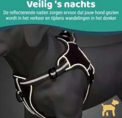 Mmoods Hondentuigje Grijs - Anti-Trek Tuig Voor Puppy's - Hondenharnas Voor Kleine Honden - Reflecterende Halsband Hond - Hondenhalsband Maat S 15 Mmoods Hondentuigje Grijs - Anti-Trek Tuig Voor Puppy's - Hondenharnas Voor Kleine Honden - Reflecterende Halsband Hond - Hondenhalsband Maat S -Huisdierbenodigdheden Korting 1200x1167 21