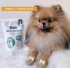 Toshi Multi Vitaminen Met Omega-3 - 100% Natuurlijke Hondensnack Voor Kleine En Grote Honden - Hondenkoekjes Voor Een Gezonde Levensstijl -Huisdierbenodigdheden Korting 1200x1167 24