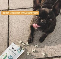 Toshi Multi Vitaminen Met Omega-3 - 100% Natuurlijke Hondensnack Voor Kleine En Grote Honden - Hondenkoekjes Voor Een Gezonde Levensstijl -Huisdierbenodigdheden Korting 1200x1167 26