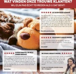 Vulpes Pets® Knuffel Hond Met Hartslag – Puppyknuffel - Hondenknuffel Voor Puppy - Snuggle Puppy - Knuffel Met Hartslag En Gratis Warmte Pad Speciaal Voor Puppy's -Huisdierbenodigdheden Korting 1200x1167 29