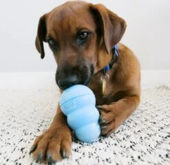 Kong Puppy - Kauwbot Hondenspeelgoed Small - Kauwbot - 85mm X 42mm - Groen/Wit -Huisdierbenodigdheden Korting 1200x1167 32