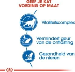 Royal Canin Indoor 7+ - Kattenvoer - 3,5 Kg 21 Royal Canin Indoor 7+ - Kattenvoer - 3,5 Kg -Huisdierbenodigdheden Korting 1200x1167 35