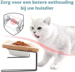 Verhoogde Bamboe Katten Voerbak – Voerbak Kat Keramiek – Drinkbak Hond – Eetbak Met Standaard – 350ml -Huisdierbenodigdheden Korting 1200x1168 11