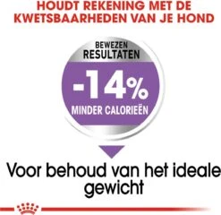 Royal Canin Ccn Sterilised Mini - Hondenvoer - 3 Kg 17 Royal Canin Ccn Sterilised Mini - Hondenvoer - 3 Kg -Huisdierbenodigdheden Korting 1200x1168 14