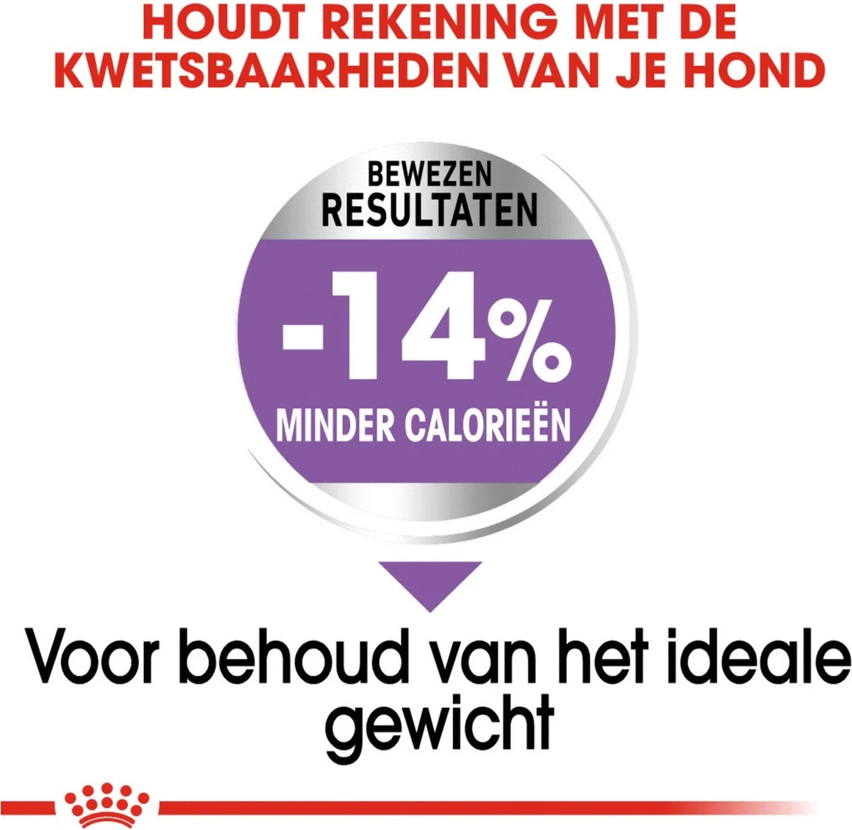 Royal Canin Ccn Sterilised Mini - Hondenvoer - 3 Kg 5 Royal Canin Ccn Sterilised Mini - Hondenvoer - 3 Kg - Image 3