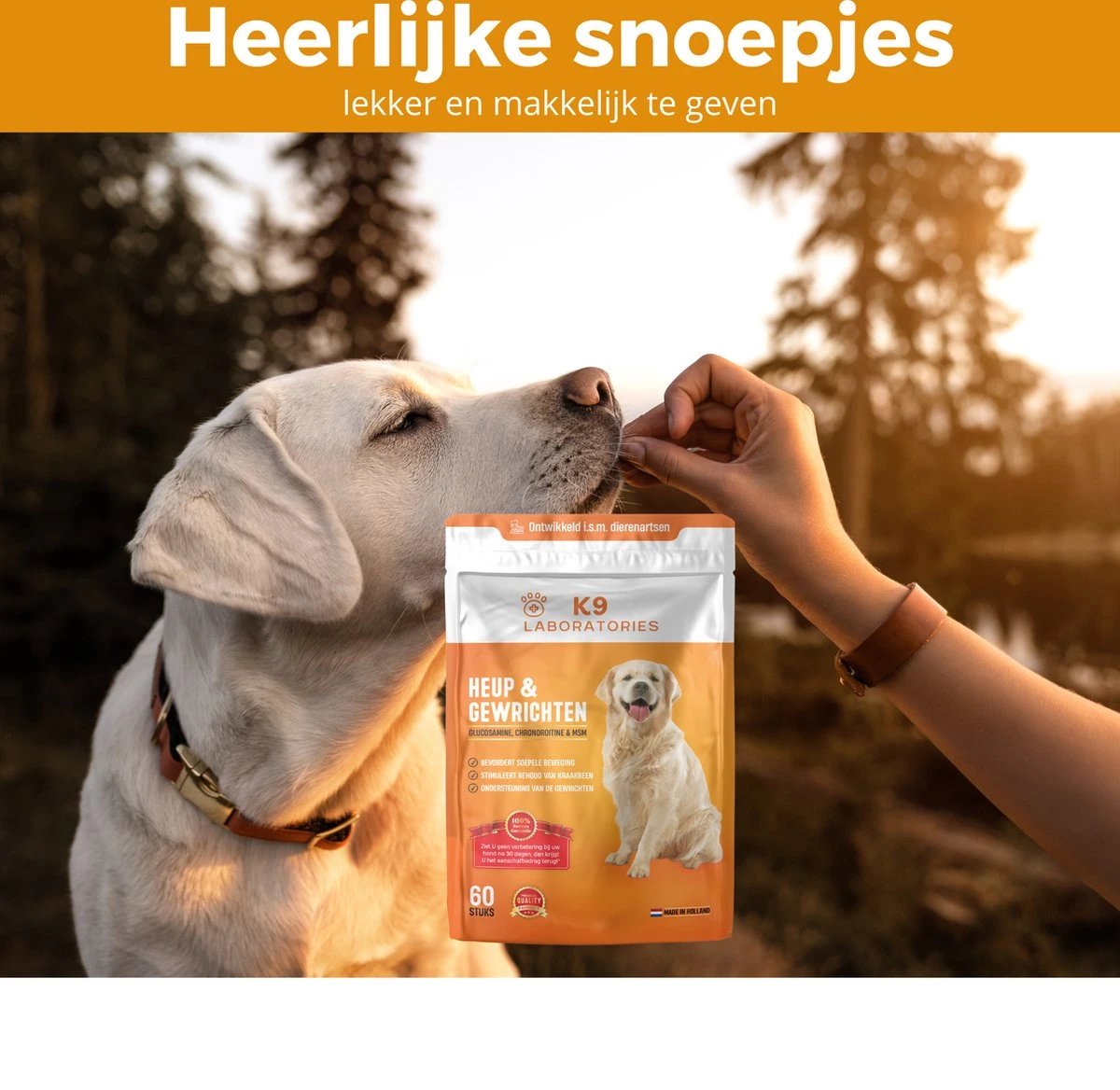 K9 Laboratories - Voordeel Pak - 120 Stuks - Voor Honden - Met Gewrichtsklachten - Artrose - Stijve Gewrichten - Ouderdom - HD - ED - Bevat Glucosamine - MSM - Chondorïtine - Voor Behoud Van Kraakbeen 4 K9 Laboratories - Voordeel Pak - 120 Stuks - Voor Honden - Met Gewrichtsklachten - Artrose - Stijve Gewrichten - Ouderdom - HD - ED - Bevat Glucosamine - MSM - Chondorïtine - Voor Behoud Van Kraakbeen - Image 2