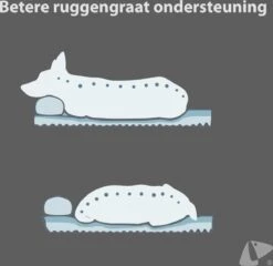 PETKIT® Deep Sleep Bed - Hondenmand - Kattenmand - Memory Foam - Orthopedisch - Maat M 13 PETKIT® Deep Sleep Bed - Hondenmand - Kattenmand - Memory Foam - Orthopedisch - Maat M -Huisdierbenodigdheden Korting 1200x1168 18