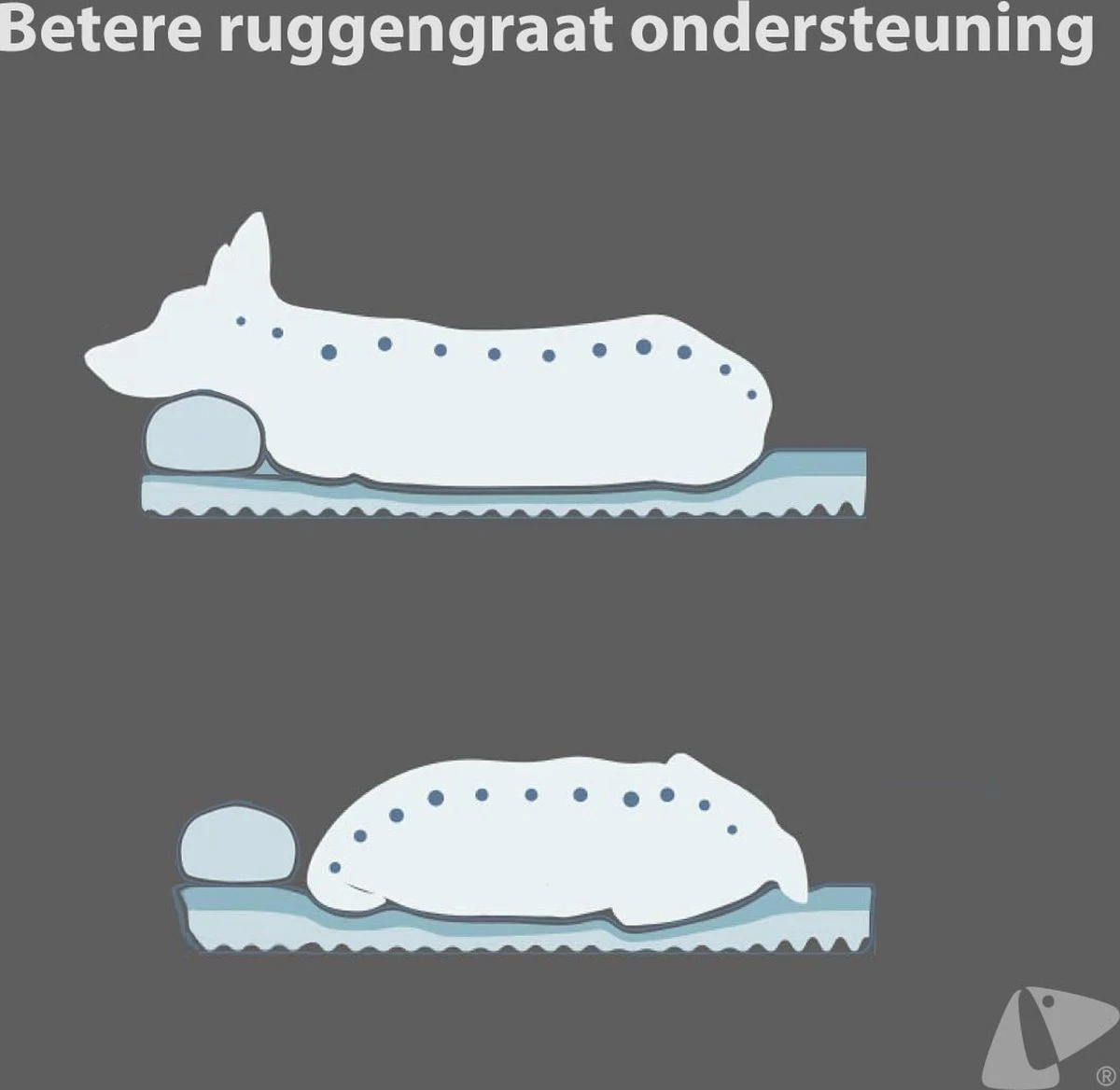 PETKIT® Deep Sleep Bed - Hondenmand - Kattenmand - Memory Foam - Orthopedisch - Maat M 7 PETKIT® Deep Sleep Bed - Hondenmand - Kattenmand - Memory Foam - Orthopedisch - Maat M - Image 5